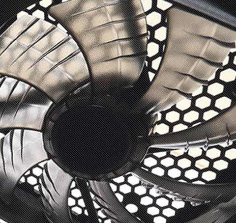 Fan-316299