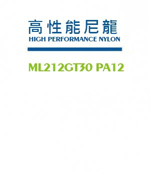 ML212GT30 PA12