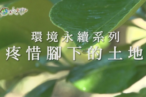 民視電視台節目 【田下大小事】邀請錄影推廣報導［喬綠膜］